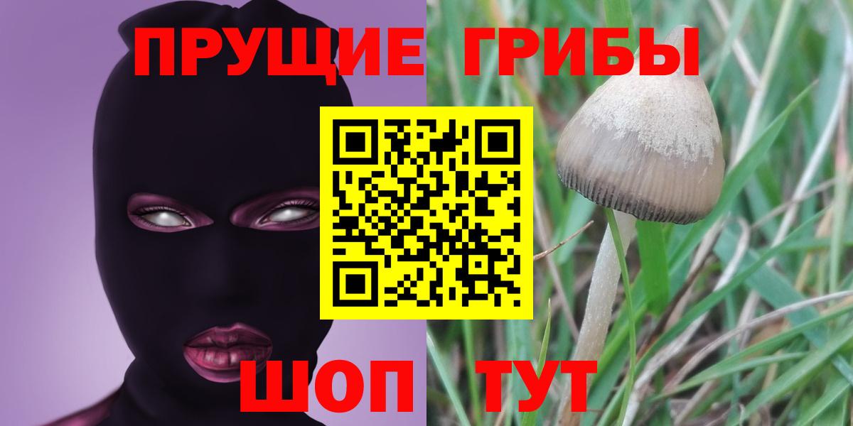 Псилоцибиновые грибы Magic Shrooms Скопин